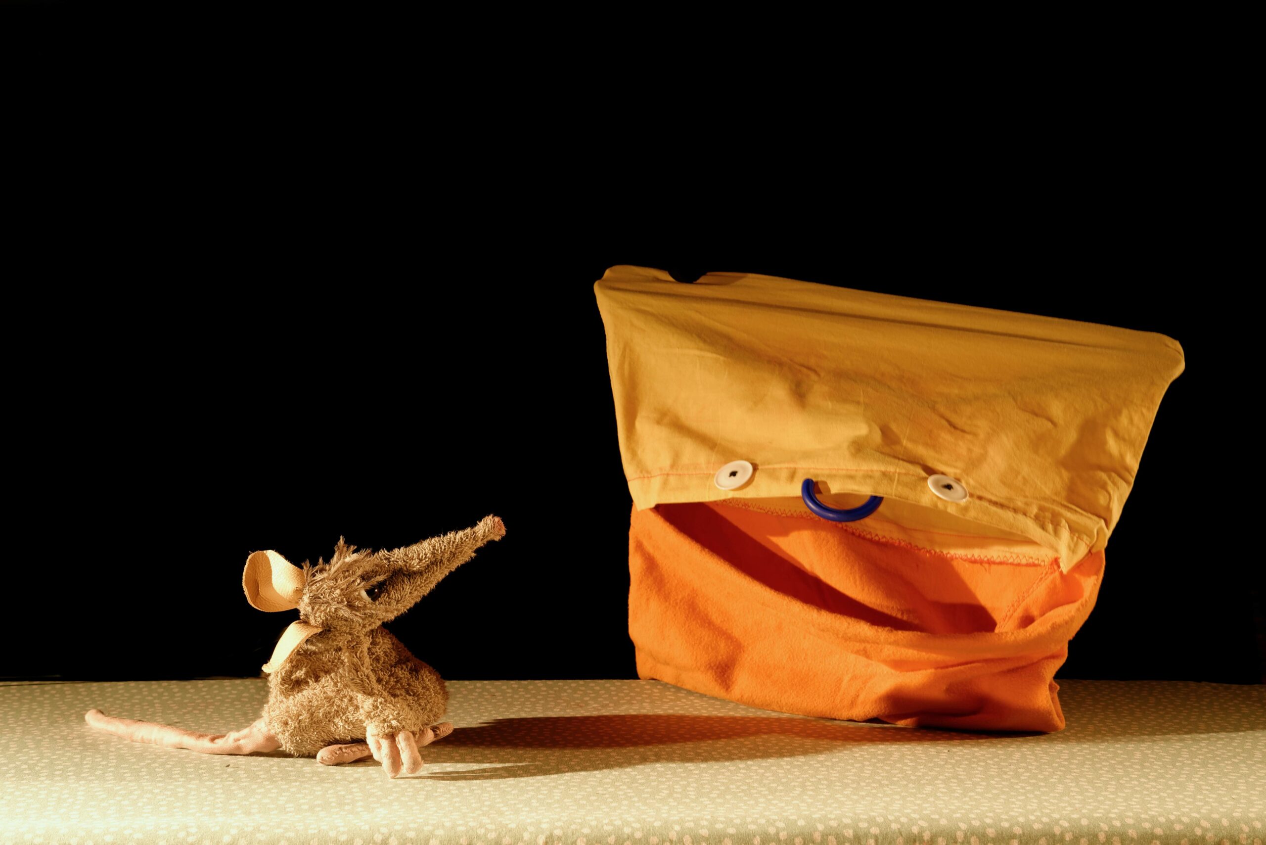 Ratze mit Kissenbezug